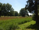 bild8
