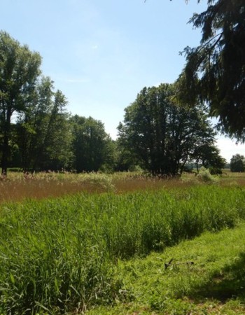 bild8